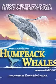 Humpback Whales