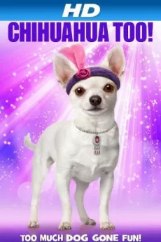 Chihuahua Too!