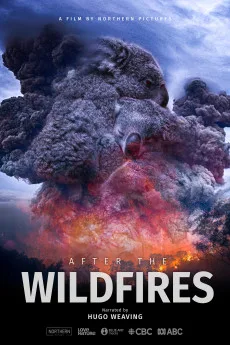 After the Wildfires