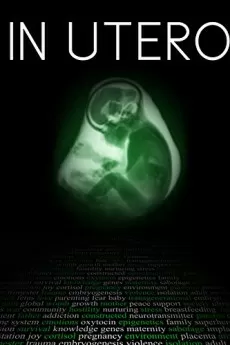 In Utero
