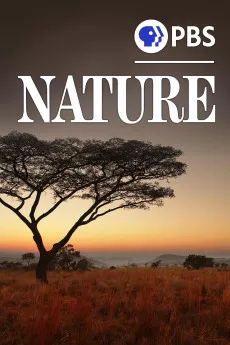 Nature Moment of Impact: Hunters and Herds