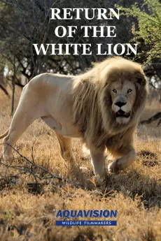 Return of the White Lion