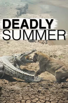 Wild Deadly Summer