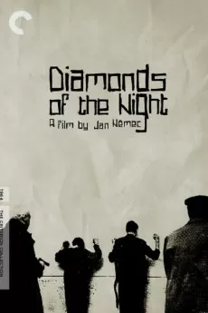 Diamonds of the Night