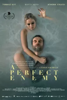 A Perfect Enemy