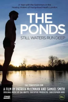 The Ponds
