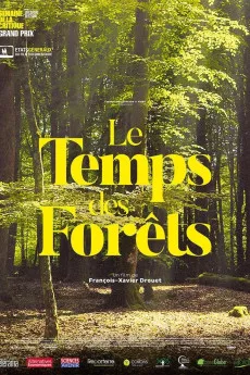 The Time of Forests