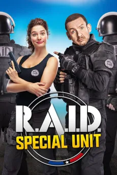 Raid dingue